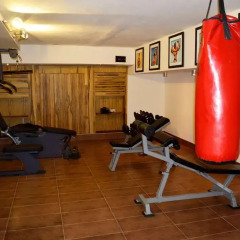Roots Apartment Hotel фитнесс-зал фото 4