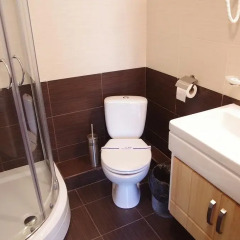 Vlada Hotel ванная