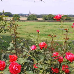 Отель De Traverse балкон