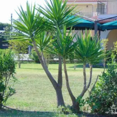 Отель Villa Celeste B&B Понтеканьяно фото 9