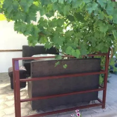 Гостиница Sea Gate Guest house в Анапе отзывы, цены и фото номеров - забронировать гостиницу Sea Gate Guest house онлайн Анапа фото 5
