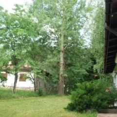 Отель Villa Beli Iskar Болгария, Боровец - отзывы, цены и фото номеров - забронировать отель Villa Beli Iskar онлайн
