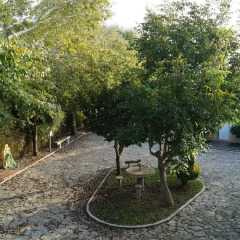 Отель Quinta da Azenha фото 8