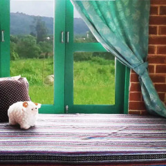 Отель Yesterday Country Resort детские мероприятия