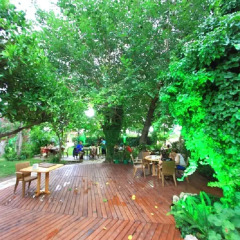 Отель Emek Pension Кемер фото 28