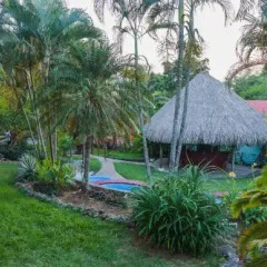 Отель Colibri Hill Resort Гондурас, Остров Утила - отзывы, цены и фото номеров - забронировать отель Colibri Hill Resort онлайн