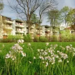 Отель Central Hotel Apart München Германия, Мюнхен - 1 отзыв об отеле, цены и фото номеров - забронировать отель Central Hotel Apart München онлайн фото 21