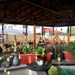 Отель Madaba Hotel Иордания, Мадаба - отзывы, цены и фото номеров - забронировать отель Madaba Hotel онлайн бассейн фото 3