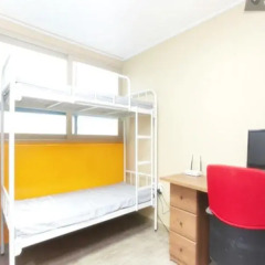 Greenyard Hostel детские мероприятия