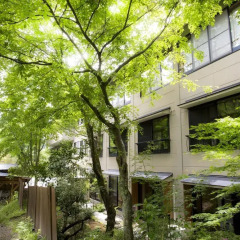 Отель Ryokan Ichinoi Минамиогуни фото 9