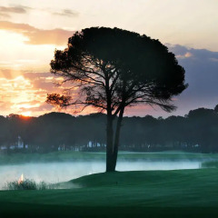Voyage Belek Golf & Spa Турция, Белек - 9 отзывов об отеле, цены и фото номеров - забронировать отель Voyage Belek Golf & Spa - All Inclusive онлайн с домашними животными