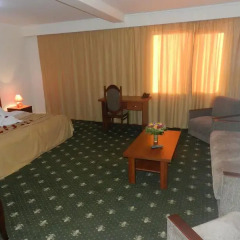 Отель Bazaleti Palace комната для гостей фото 3