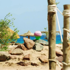 Отель Safari Beach Nuweiba пляж фото 2