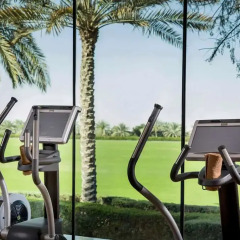 Отель Desert Palm ОАЭ, Дубай - отзывы, цены и фото номеров - забронировать отель Desert Palm онлайн фитнесс-зал фото 2
