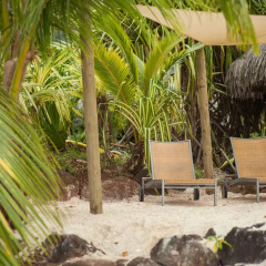 Отель Sofitel Moorea la Ora Beach Resort Французская Полинезия, Папеэте - 1 отзыв об отеле, цены и фото номеров - забронировать отель Sofitel Moorea la Ora Beach Resort онлайн фото 3