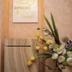 Binjia Boutique Hotel Шэньчжэнь интерьер отеля фото 2