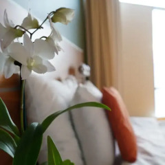 Nordic Hotel детские мероприятия