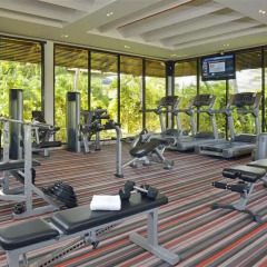 Отель Paradisus Punta Cana Resort - Все включено Доминикана, Пунта Кана - отзывы, цены и фото номеров - забронировать отель Paradisus Punta Cana Resort - Все включено онлайн фитнесс-зал фото 2