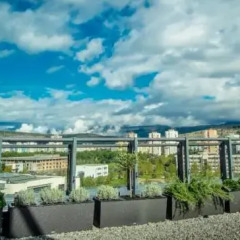 CentreVille Hotel&Experiences Montenegro бассейн