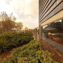 Отель Hilton Mexico City Reforma фото 7