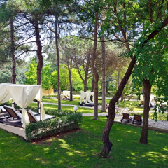 Отель Melia Grand Hermitage - All Inclusive Болгария, Золотые пески - отзывы, цены и фото номеров - забронировать отель Melia Grand Hermitage - All Inclusive онлайн фото 2