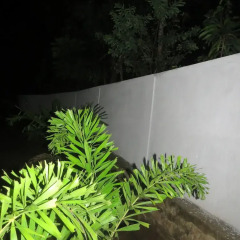Thisara Guest Hotel Rooms фото 6