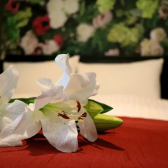 Residence Hotel Hakata 13 Тэндзин спа