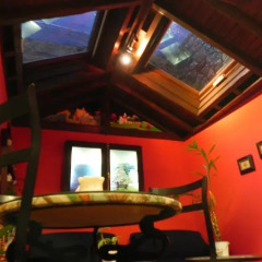 Отель La Posada del Rey детские мероприятия фото 2