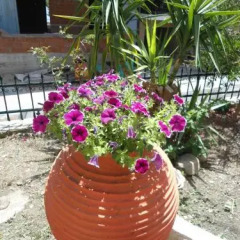Hotel Olympos фото 11