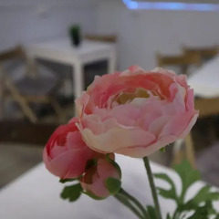 Гостиница Travel Inn Timiryazevskaya в Москве отзывы, цены и фото номеров - забронировать гостиницу Travel Inn Timiryazevskaya онлайн Москва помещение для мероприятий фото 2