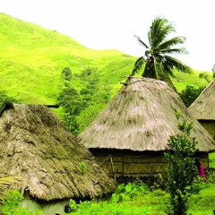 Отель Navala Home Stay фото 7