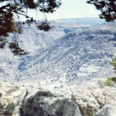 Отель Petra Moon Hotel Иордания, Вади-Муса - отзывы, цены и фото номеров - забронировать отель Petra Moon Hotel онлайн пляж