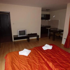 Hotel Ela (Paisii Hilendarski) комната для гостей фото 5
