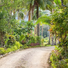 Отель Savasi Island Resort Савусаву