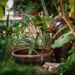 Отель Ludao 49 Villa Китай, Сямынь - отзывы, цены и фото номеров - забронировать отель Ludao 49 Villa онлайн фото 4