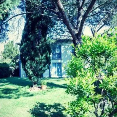 Отель Hôtel Résidence Les Pins Galants Toulouse-Tournefeuille Франция, Турнефёй - отзывы, цены и фото номеров - забронировать отель Hôtel Résidence Les Pins Galants Toulouse-Tournefeuille онлайн фото 9
