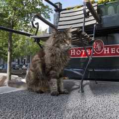 Отель Hegra Amsterdam Centre Нидерланды, Амстердам - отзывы, цены и фото номеров - забронировать отель Hegra Amsterdam Centre онлайн фото 2