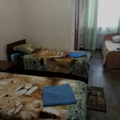Гостиница Гостевой Дом Юнас в Саратове отзывы, цены и фото номеров - забронировать гостиницу Гостевой Дом Юнас онлайн Саратов с домашними животными