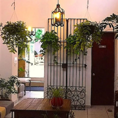 Отель Casa Canario Мексика, Гвадалахара - отзывы, цены и фото номеров - забронировать отель Casa Canario онлайн фото 7