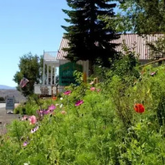Отель Tioga Lodge Ли Вайнинг фото 8