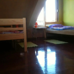 Wallaby House Hostel детские мероприятия