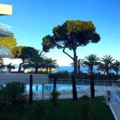 Отель Royal Palm 218 бассейн