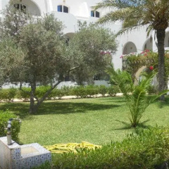 Отель Djerba Haroun Тунис, Мидун - отзывы, цены и фото номеров - забронировать отель Djerba Haroun онлайн фото 3