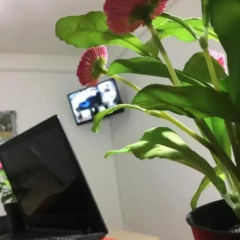 Holiday Hotel in Nouakchott, Mauritania from 108$, photos, reviews - zenhotels.com hotel interior photo 2