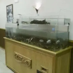 Hotel As Brisas do Freixo в номере