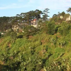 Отель Antonico Villa Dalat Далат фото 2