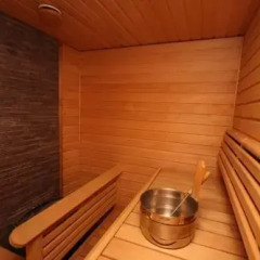 Отель Gella Serviced Apartment Pitajanmaki Финляндия, Хельсинки - отзывы, цены и фото номеров - забронировать отель Gella Serviced Apartment Pitajanmaki онлайн сауна