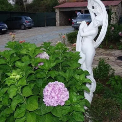 Отель Guest House Kreshta парковка