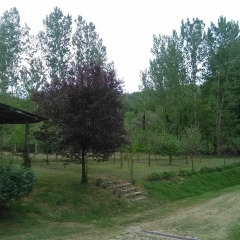 Отель Rio Di Luco Реггелло фото 3