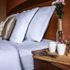 Отель Pirina Club Family Hotel Болгария, Банско - отзывы, цены и фото номеров - забронировать отель Pirina Club Family Hotel онлайн удобства в номере
